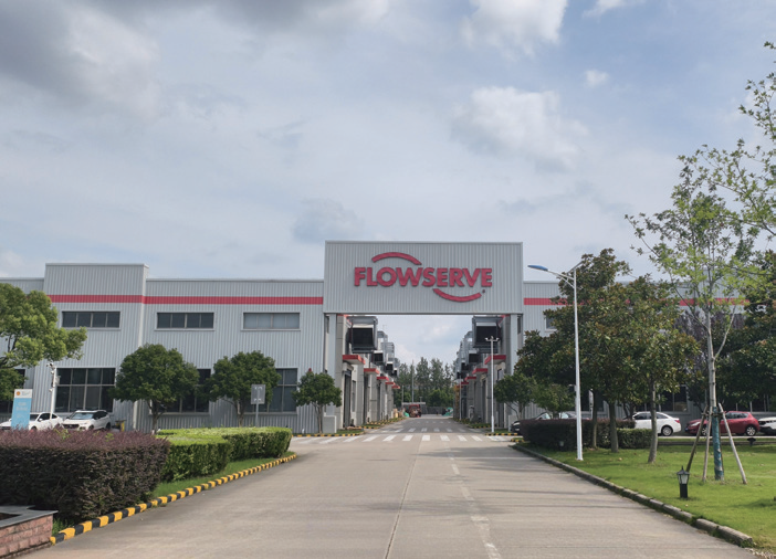 FLS10